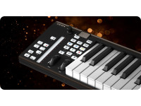 icon-pro-audio-artist-88x_6a2c0a1bb7f7a.jpg
