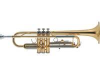 J. Michael TR-200 - estudiar trompeta, Afinado en si bemol, Con estuche y boquilla incluidos., Anillos extraíbles tirados, Diámetro = 11,70 mm, Tamaño de campana = 122 mm, 