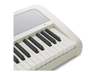 korg-b2-white_625ad38b08417.jpg