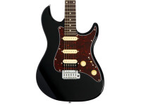 larry-carlton-s3-hss-bk-new-gen_69ce76f75bdb3.jpg