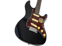 larry-carlton-s7-bk-new-gen_69ce840bef2bf.jpg