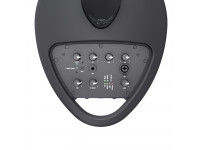 LD Systems  MAUI 5 GO 100