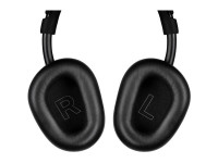 Lewitt LW6