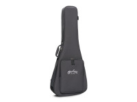 martin-000-10e-retro-sapele_69bbccf9a6ce2.jpg
