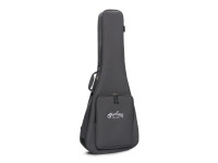 Martin D-10E Retro