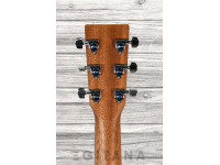martin-dreadnought-10-a-e-road-series-abeto-sitka-sapele_637b8dffa357b.jpg