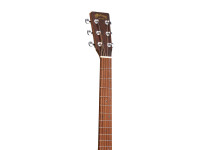 Martin GPC-X2E Cocobolo