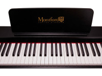 Montford MFDP11