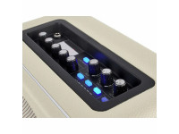 mooer-hornet-modelling-combo-wh_6a142863ed1f6.jpg