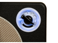 Mooer Hornet Modelling Combo