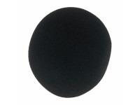 neumann-ws47_6a7060838161d.jpg