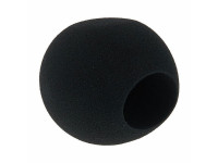 neumann-ws47_6a7060852f095.jpg