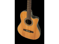 ovation-pro-series-classic-1773ax-4-g_69a078133991c.jpg