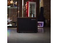 Palmer  CAB 112 BX V30