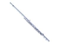 pearl-flutes-pfa-206-es_5a9d625e57400.jpg