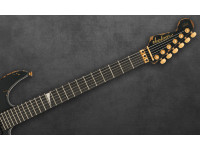 Pro Series Signature Phil Collen PC1-E, escala em ébano, Worn Black