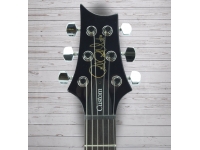 prs-s2-custom-22-whale-blue_5c5af563afe3c.jpg