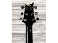 prs-s2-custom-24-elephant-gray_669e3251c4f73.jpg