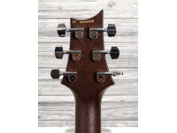 prs-s2-standard-24-satin-walnut_60929e416359e.jpg