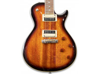 prs-se-245-standard-ts_602a7f7f3f825.jpg