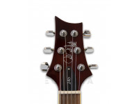 prs-se-245-standard-ts_602a7f82e6aea.jpg