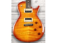 prs-se-245-vs-vintage-burst_5f995969f09c4.jpg