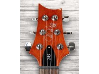 prs-se-245-vs-vintage-burst_5f99597056732.jpg
