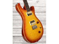 prs-se-custom-22-vs_609d08abe3644.jpg