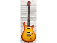 prs-se-custom-22-vs_609d08ad0f0a6.jpg