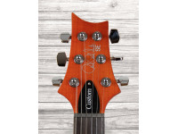 prs-se-custom-22-vs_609d08ae8c39b.jpg