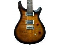 prs-se-custom-24-35th-anniversary_5ee8ea0e6ac0f.jpg