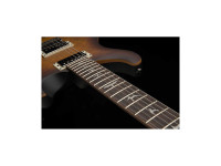 PRS SE DGT MT Exotic LTD PRS SE DGT MT Exotic LTD