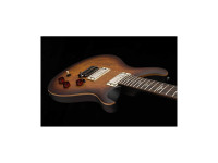 PRS SE DGT MT Exotic LTD PRS SE DGT MT Exotic LTD