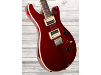 prs-se-standard-24-vc-2018_60ab8347bcd96.jpg
