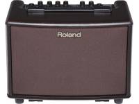 roland-ac-33-rw_599dab4185d82.jpg