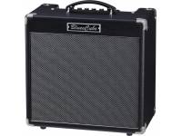 roland-blues-cube-hot-bk_599e9a1a3661a.jpg