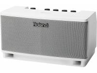 roland-cube-lite-monitor_598de45f5de18.jpg