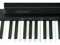 roland-fp-10-bk-painel-de-controlos_621fbbec826bd.jpg