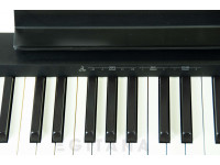 roland-fp-10-bk-painel-de-controlos_638dd2444b31f.jpg