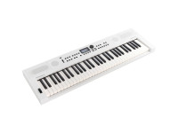 Roland GO:KEYS 5 White - Teclado portátil con 61 teclas sensibles al tacto estilo piano, La polifonía de 128 voces ofrece opciones para muchas combinaciones y arreglos de notas., Incluye 554 tonos y funcionalidad de acompa...