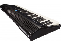 roland-gopiano-piano-digital-eletrico-portatil-colunas-economico-pilhas-computador-bluetooth_6094117550e13.jpg