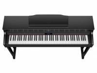 roland-hp-603-cb_591c0ca49f6bc.jpg