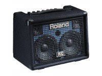 roland-kc-110-battery-powered_560a729fc1312.jpg