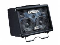 roland-kc-110_599175c9e562f.jpg