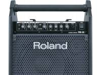roland-pm-10_599185c2c8d2b.jpg