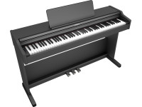 roland-rp107-bkx-piano-vertical-preto-acetinado-premium_66f27a4419016.jpg