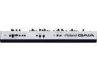 roland-sh-01-gaia_5991c77437cd7.jpg