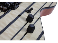 schecter-synyster-std-plus-fr-gn_6a858b2ed0a5f.jpg
