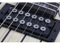 schecter-synyster-std-plus-fr-gn_6a858b30cbc32.jpg