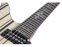schecter-synyster-std-plus-fr-gn_6a858b32dac87.jpg